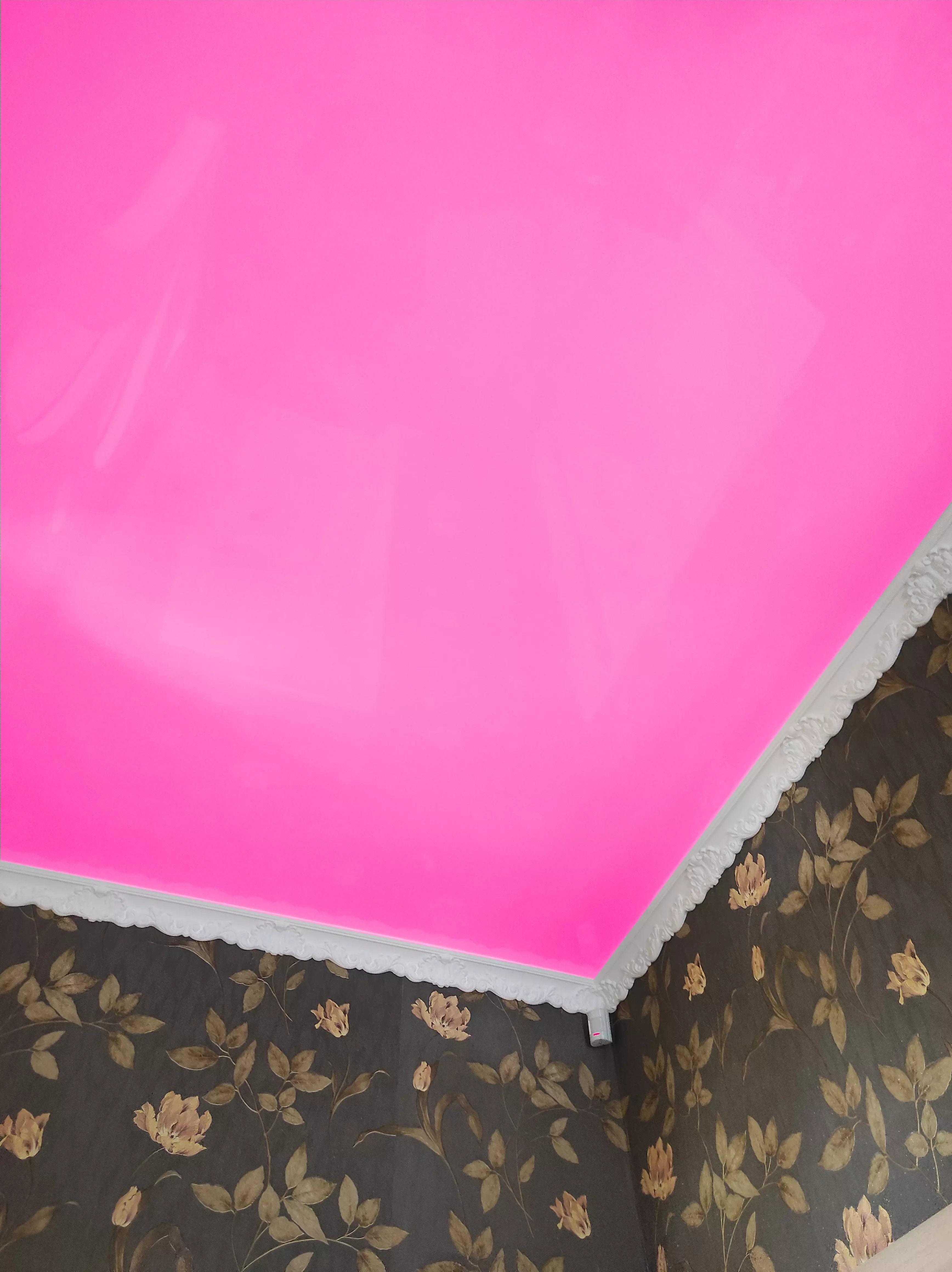 Липецк, Желябова, 17, фото 2