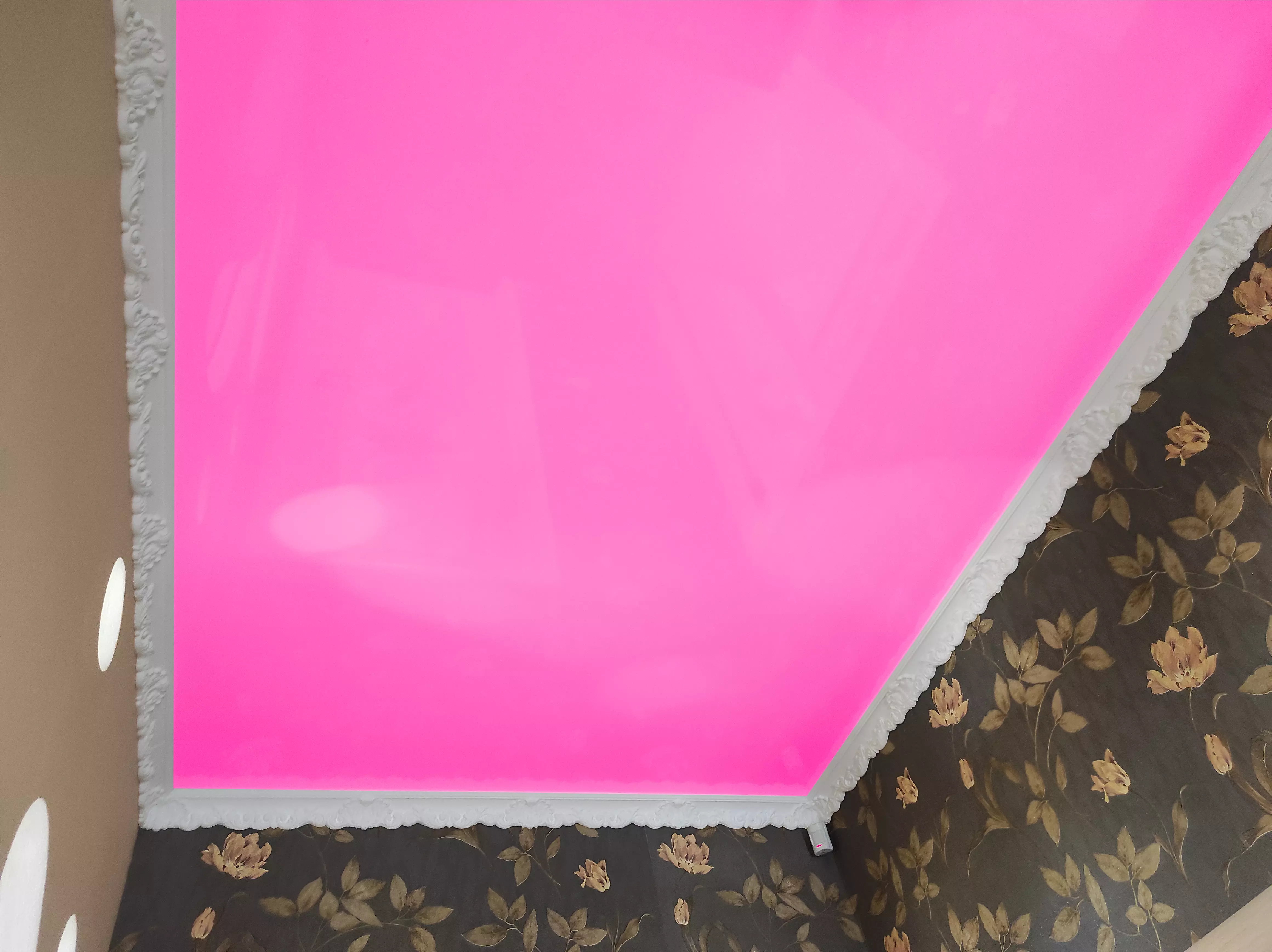 Липецк, Желябова, 17, фото 3