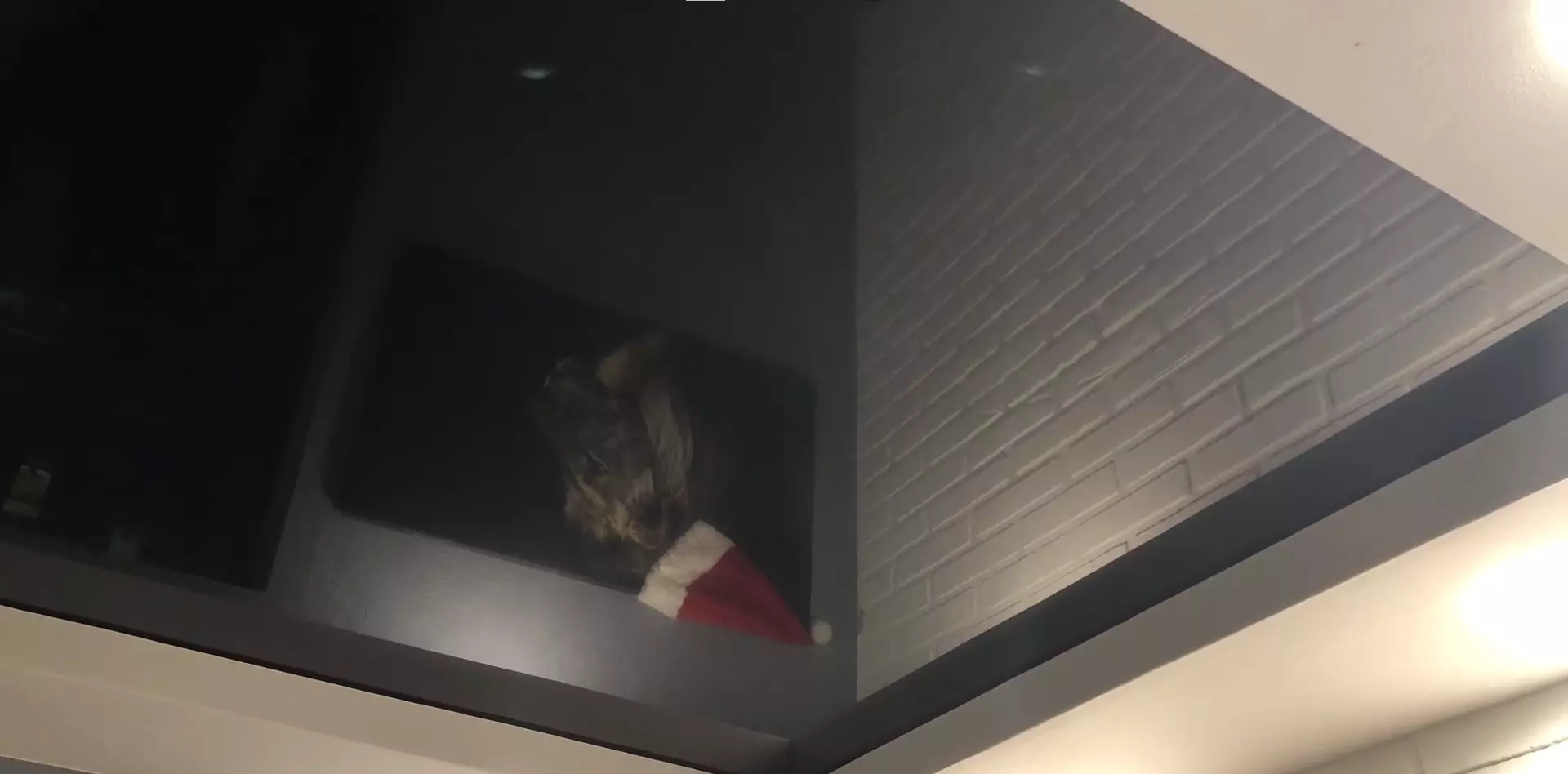 Пушкино, , фото 3