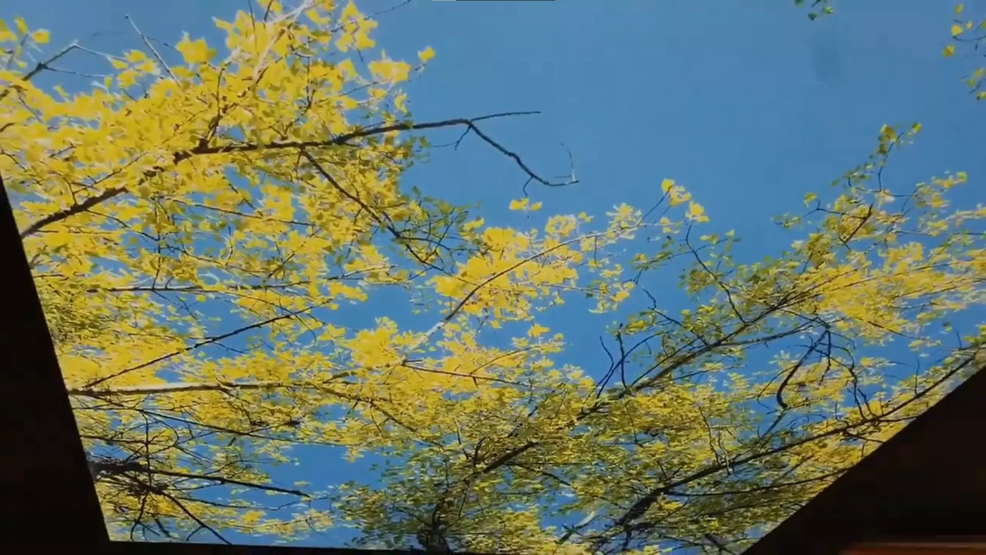 Пушкино, , фото 2