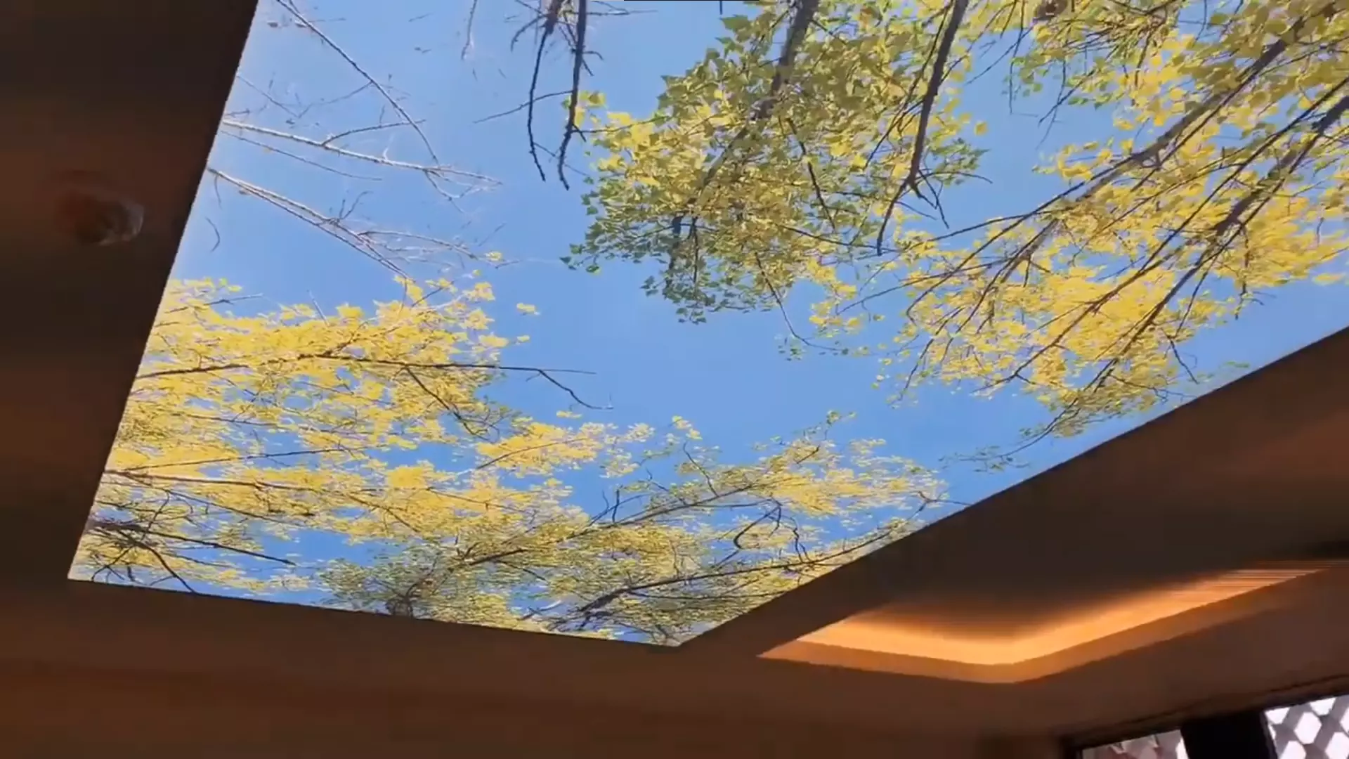 Пушкино, , фото 3